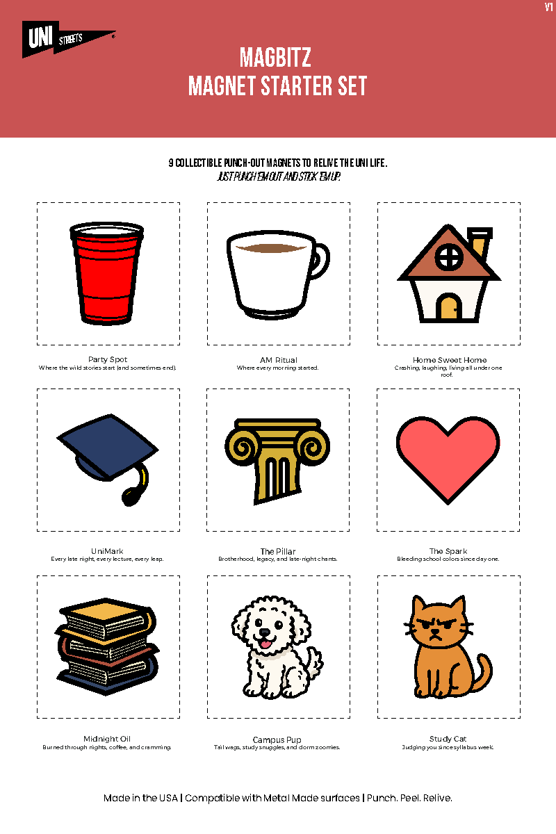 MagBitz Magnet Starter Set with interactive magnetic elements for custom map wall art